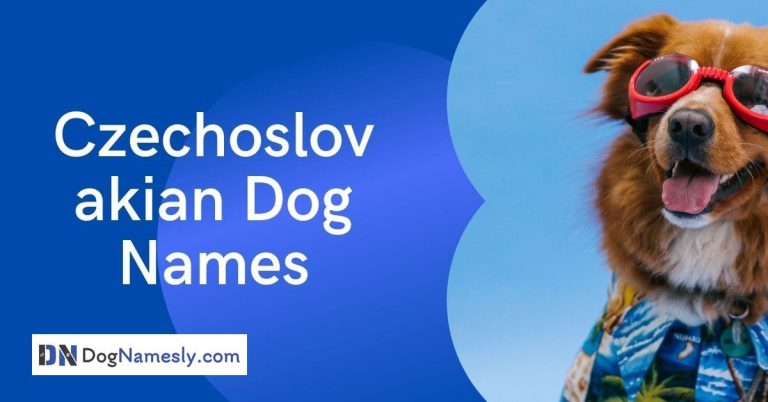 Read more about the article Czechoslovakian Dog Names