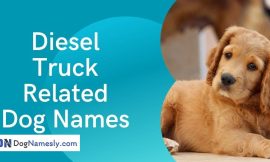 Diesel Truck Related Dog Names