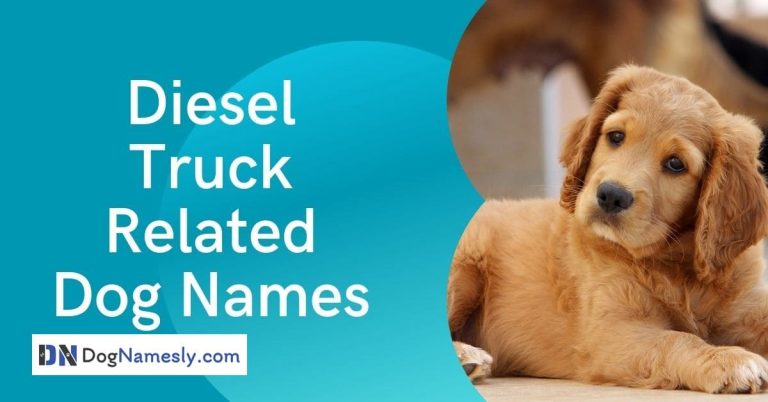 Read more about the article Diesel Truck Related Dog Names