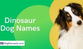 Dinosaur Dog Names