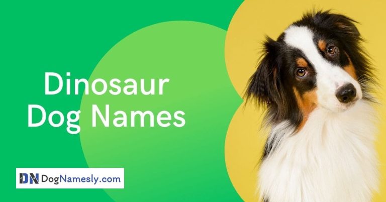 Read more about the article Dinosaur Dog Names