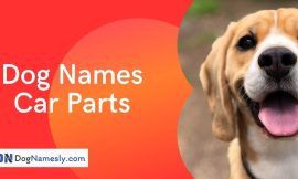 Dog Names Car Parts