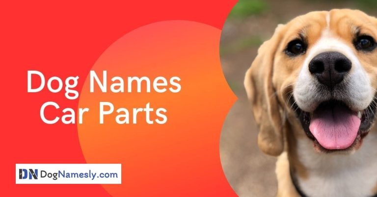 Read more about the article Dog Names Car Parts