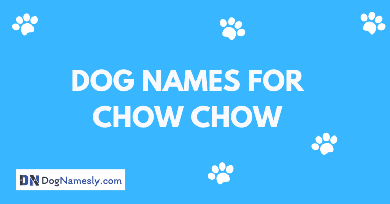 Read more about the article Dog Names For Chow Chow