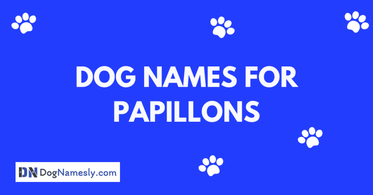 Read more about the article Dog Names For Papillons