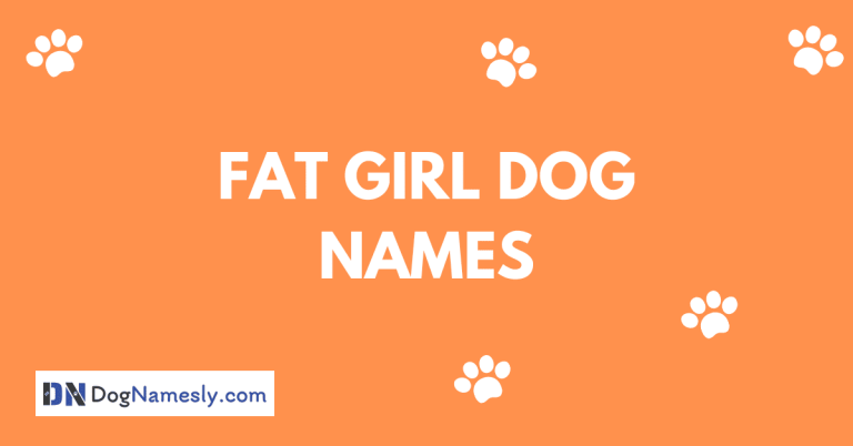 Read more about the article Fat Girl Dog Names