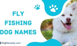 Fly Fishing Dog Names