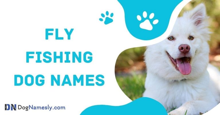 Read more about the article Fly Fishing Dog Names