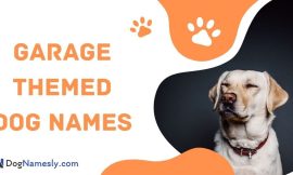 Garage Themed Dog Names