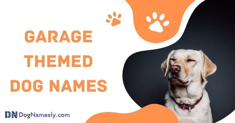 Read more about the article Garage Themed Dog Names