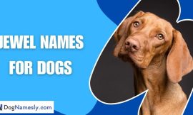 Jewel Names For Dogs