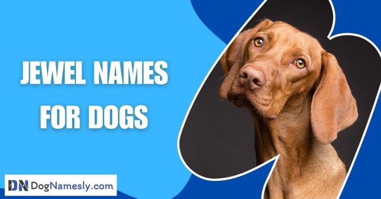 Read more about the article Jewel Names For Dogs