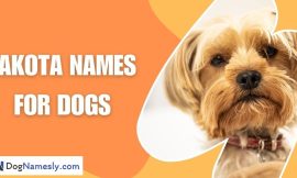 Lakota Names For Dogs