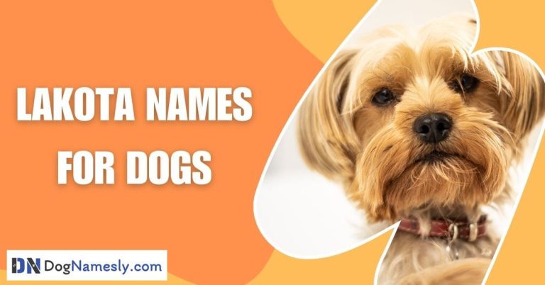 Read more about the article Lakota Names For Dogs