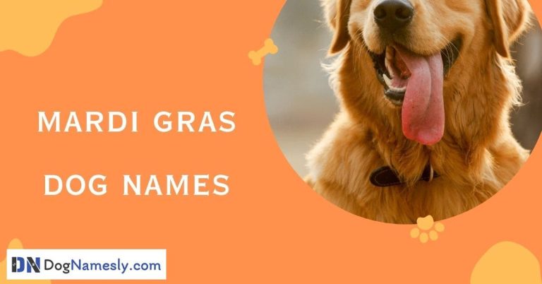 Read more about the article Mardi Gras Dog Names