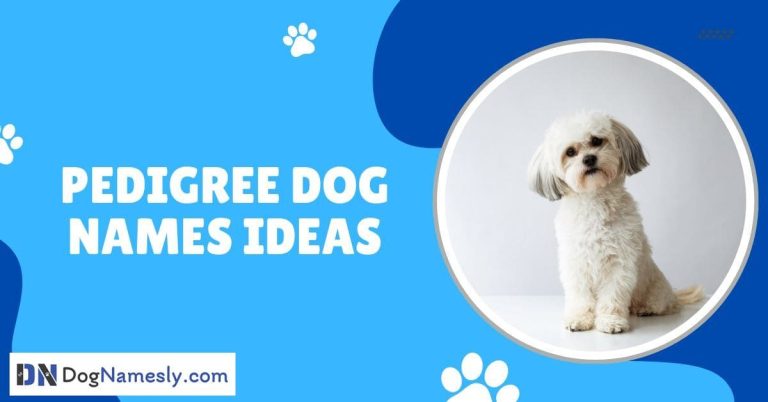 Read more about the article Pedigree Dog Names Ideas