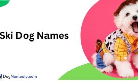 Ski Dog Names