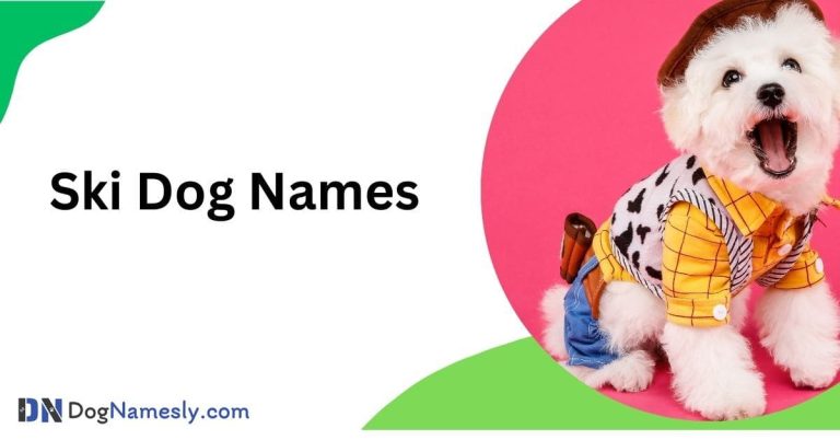 Read more about the article Ski Dog Names