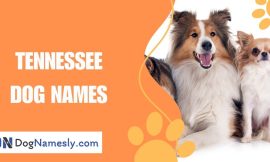 Tennessee Dog Names