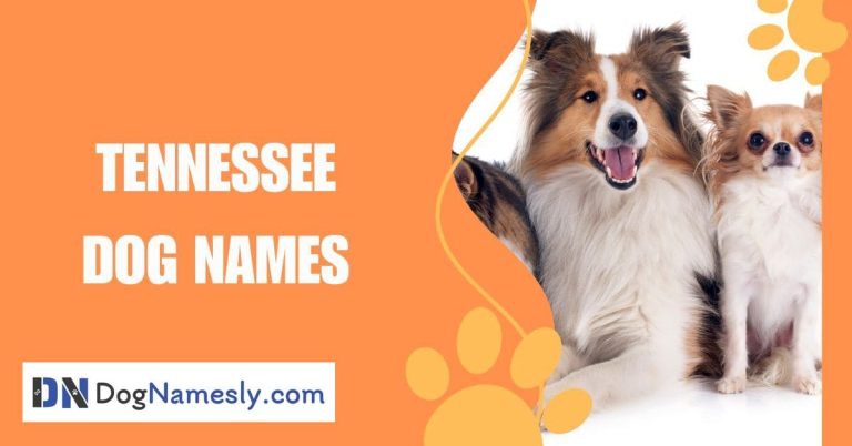 Read more about the article Tennessee Dog Names