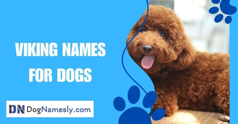 Read more about the article Viking Names For Dogs