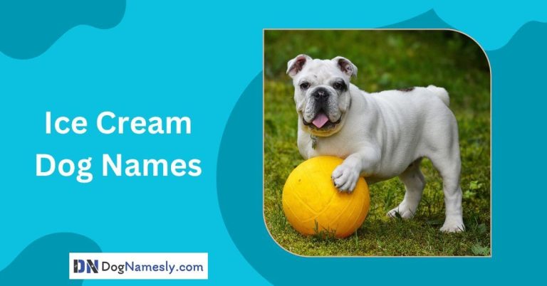 Read more about the article Ice Cream Dog Names